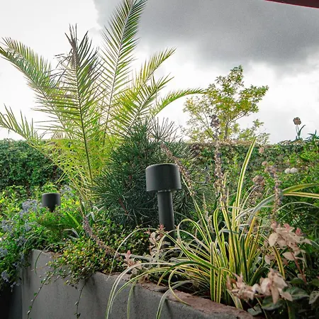 Le Del Cappello * Ivrea