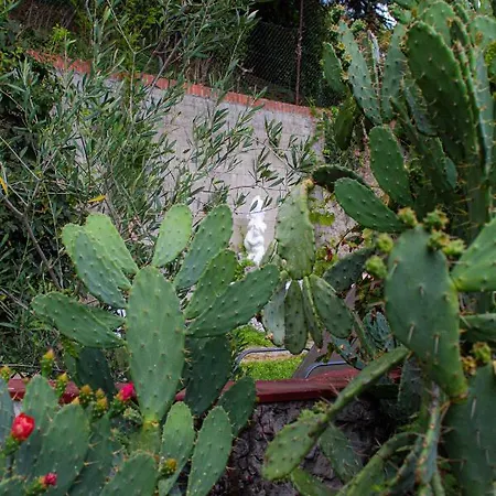 شقة Le Del Cappello